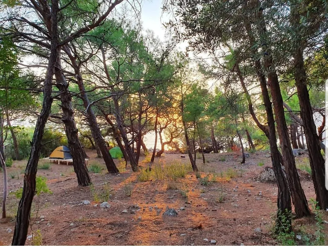 Orman Evi Kara Dere Park Orman Villa Karadere  Türkiye