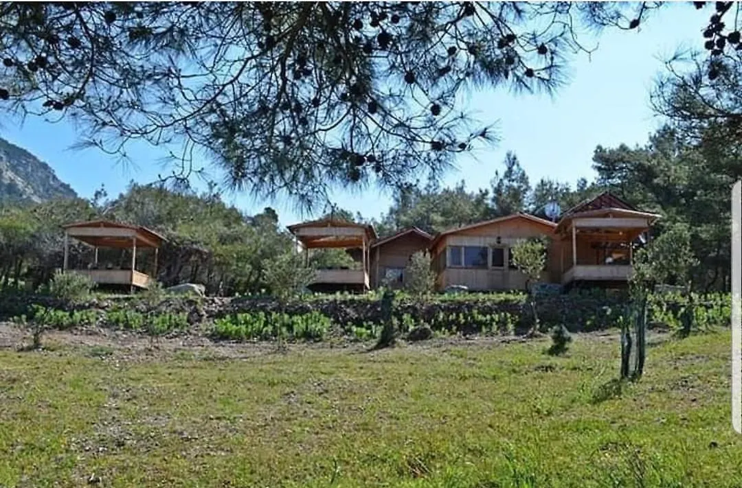 Kara Dere Park Orman Villa Karadere  0*, Karadere (Aegean)