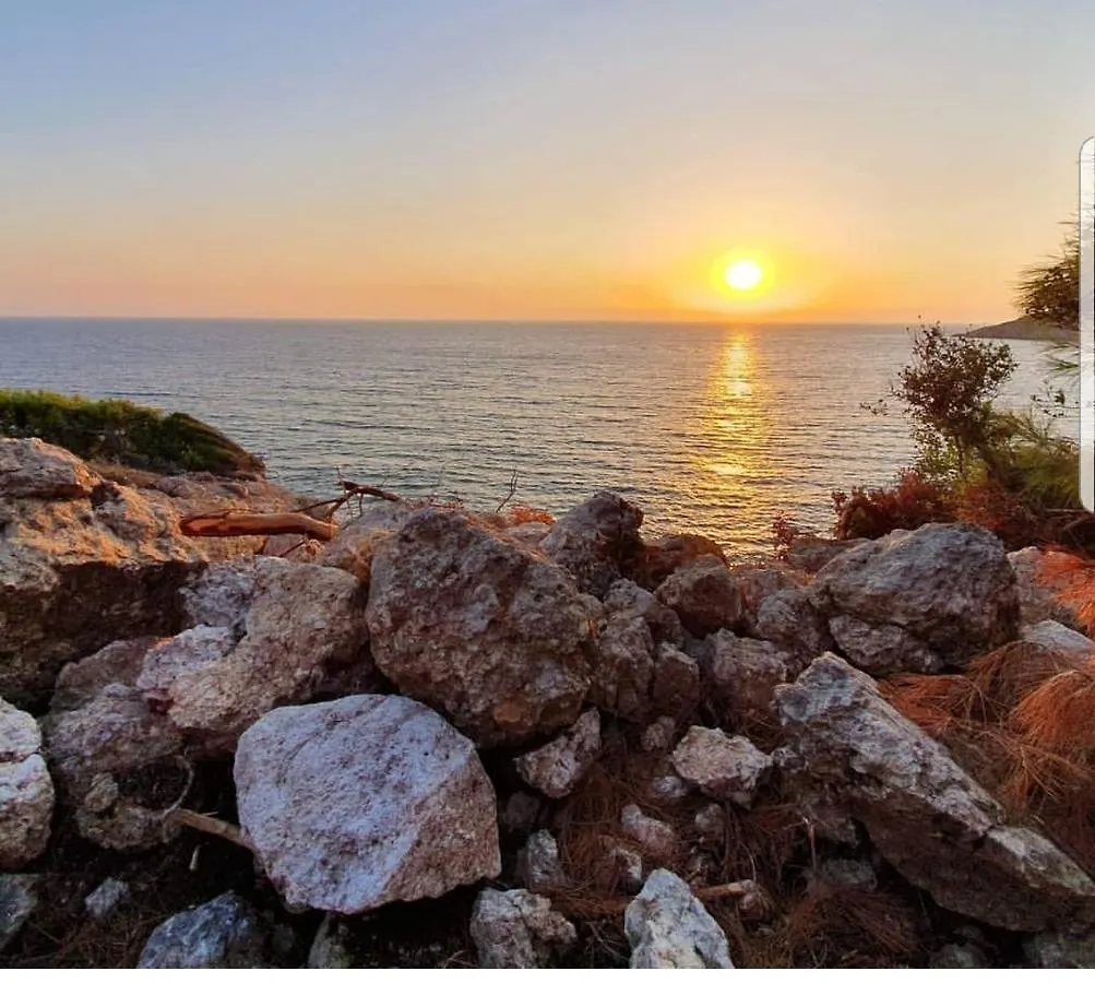 Orman Evi Kara Dere Park Orman Villa Karadere